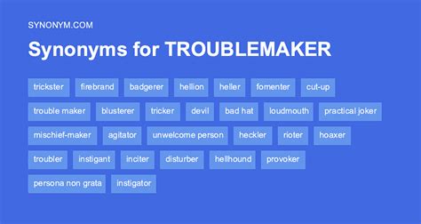 another word for troublemaker.